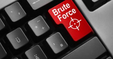 Brute Force Attack on Self-Hosted WordPress Sites